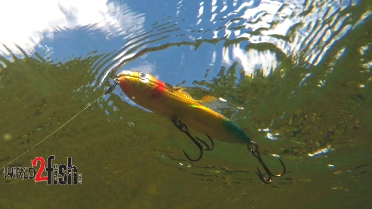 Fish Topwater Walking Baits (Spooks) for Offshore Bass