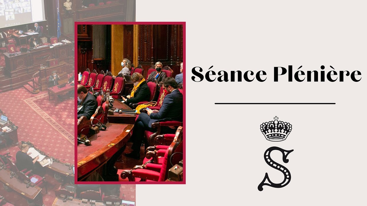 S&eacute;ance pl&eacute;ni&egrave;re du S&eacute;nat de Belgique - 26/03/2021