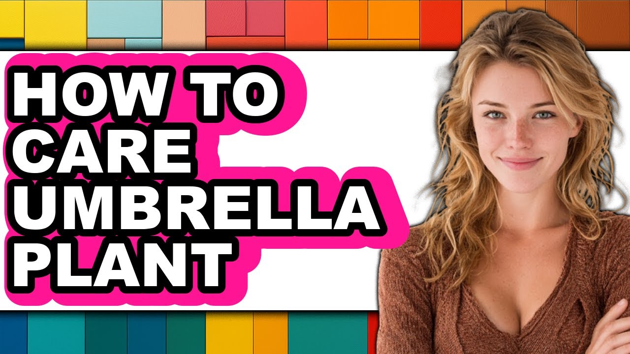 How to Care for an Umbrella Plant (The Only Way)