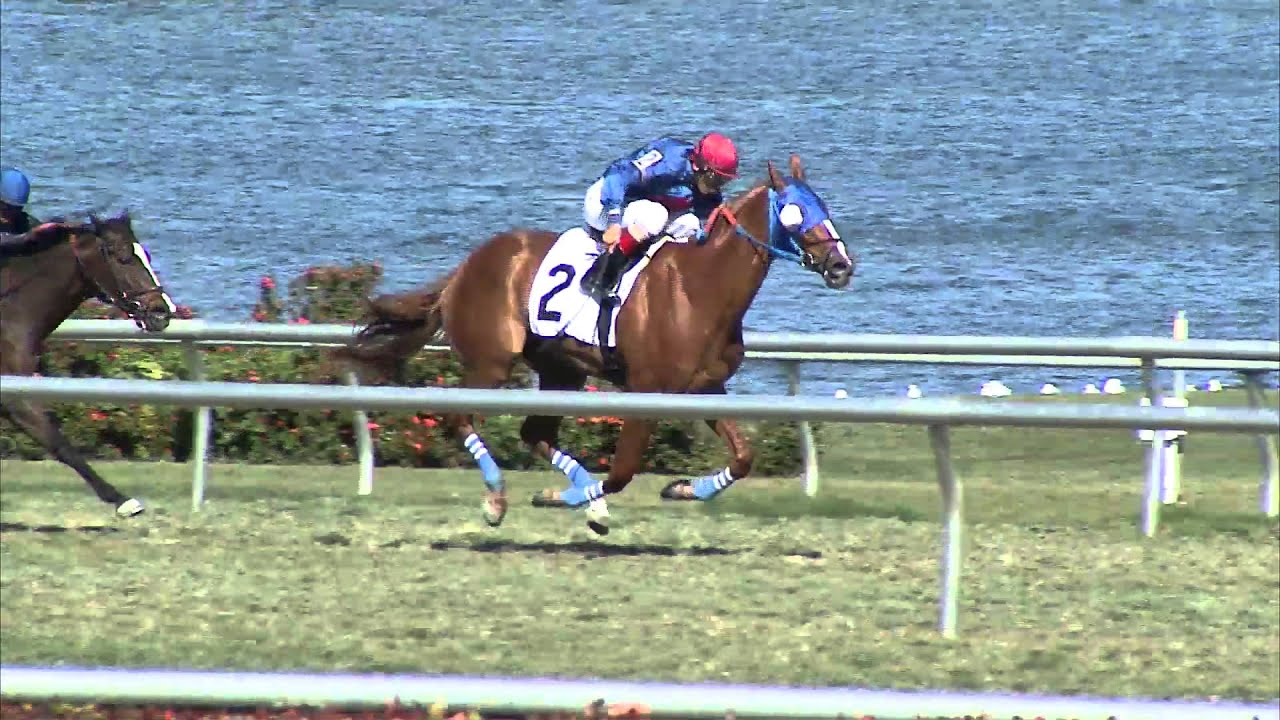 Gulfstream Park Replay Show | February 25, 2016