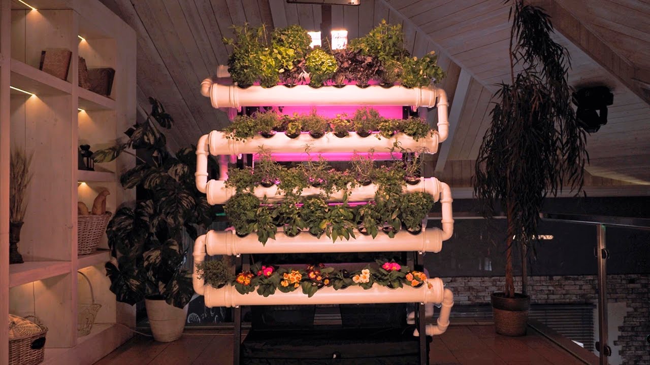 Гидропонная установка Maxi HG от компании Smart Hydro Garden