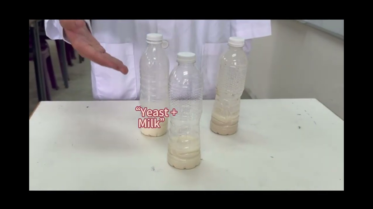 BIOCHARM WHISLAB 2026