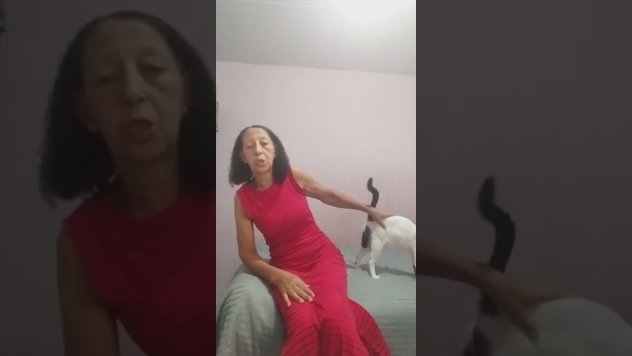 😹😻vlog triste e feliz 💖sobre gatinhos 