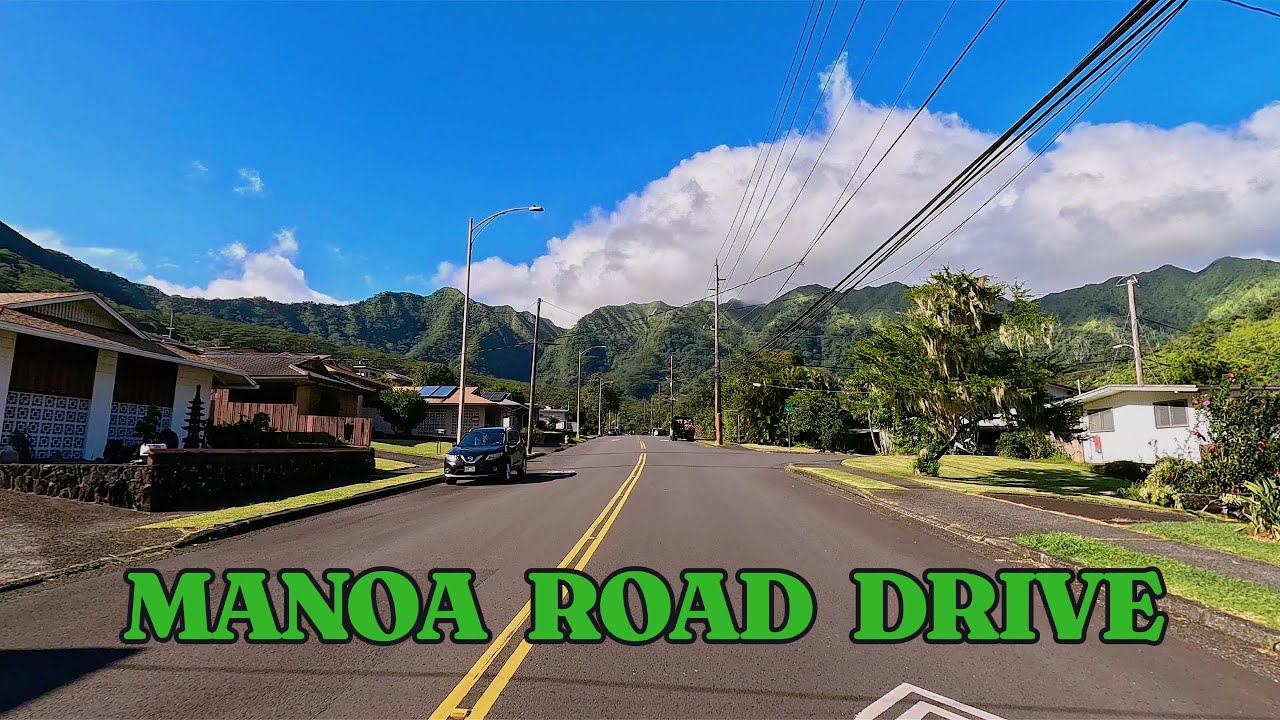 Manoa Road Drive | Scenic Drive Through Honolulu’s Hidden Gem 🌴🚗