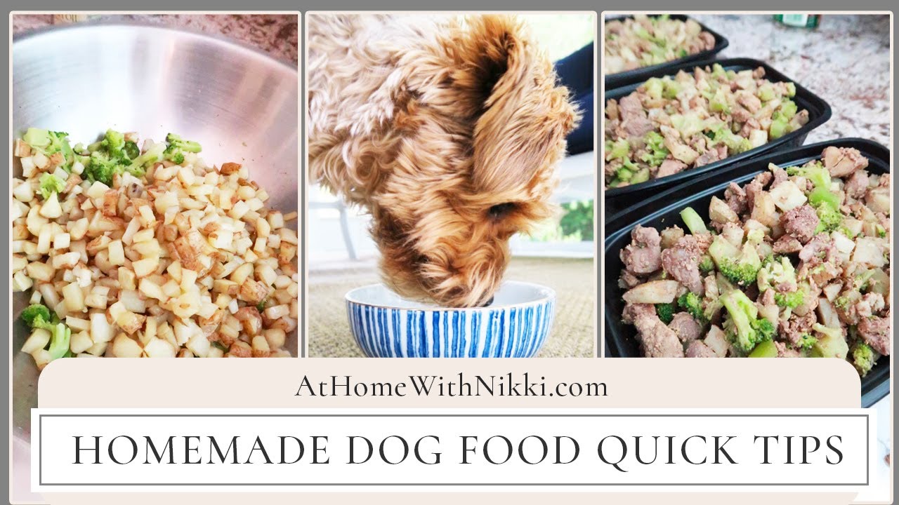 Homemade Dog Food Quick Tips