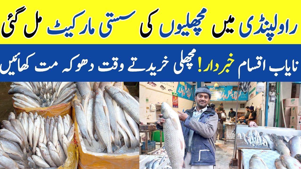 Rawalpindi Largest Fish Market | Types of Fish | Ganj Mandi Fish Market