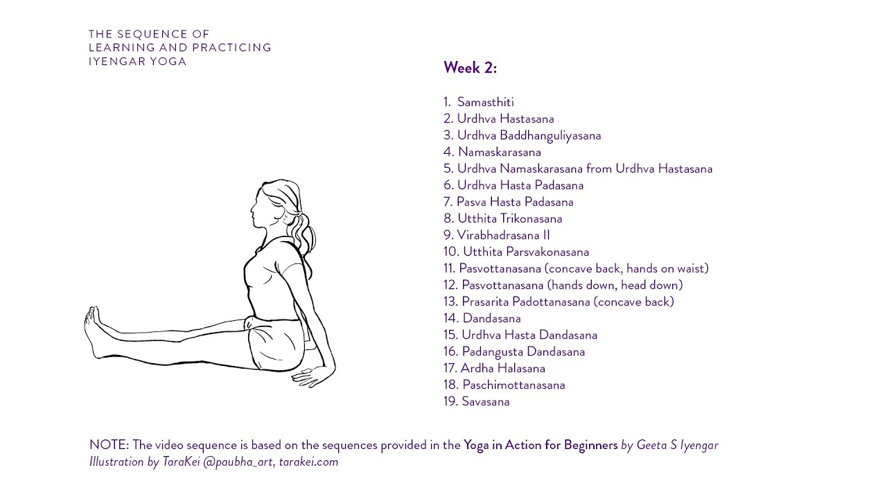 Week 2: Learning and Practicing Iyengar Yoga for Beginners