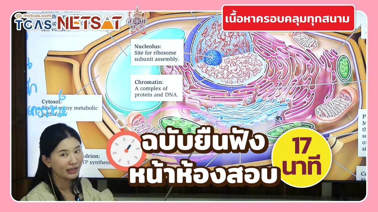 สรุปเซลล์ ฉบับยืนฟังหน้าห้องสอบ ใน 17 นาที