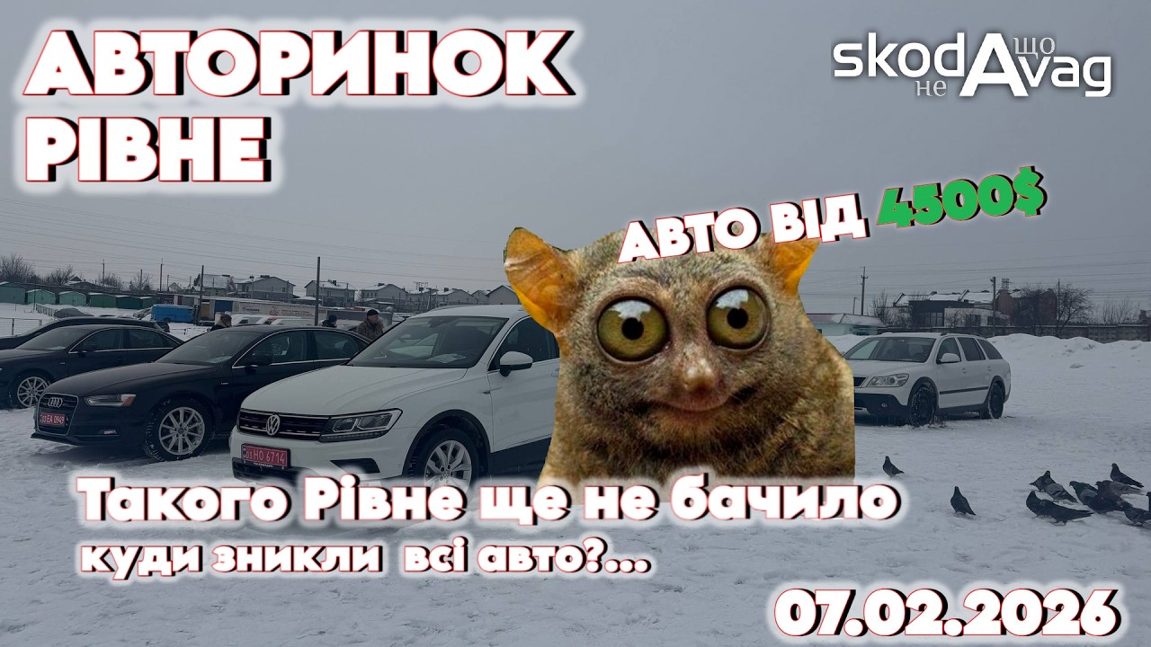 Авторинок Рівне📍 | Порожній авторинок 🚗 | Де авто? 🤷‍♀️@SKODA що не VAG retail