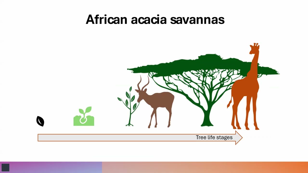 Biodiversity Responses to Changing Ecosystems in Sub-Saharan Africa