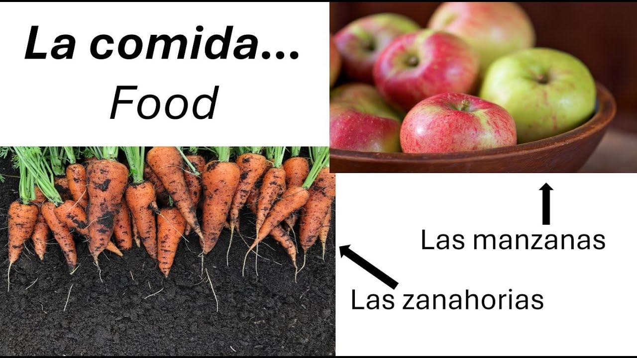 Different Foods in Spanish! Learn new vocabulary