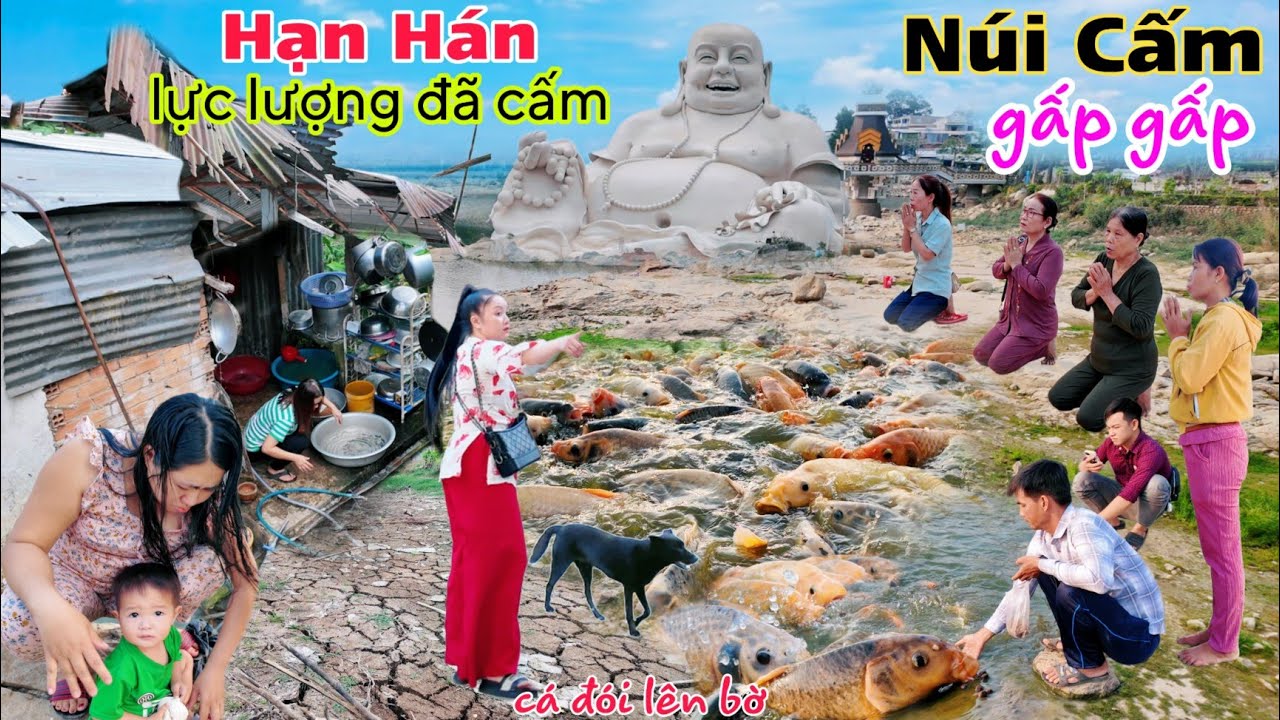 NÚI CẤM Báo Động, hạn hán cây khô sạch lá, lực lượng vào cuộc đã cấm hồ Thủy Liêm