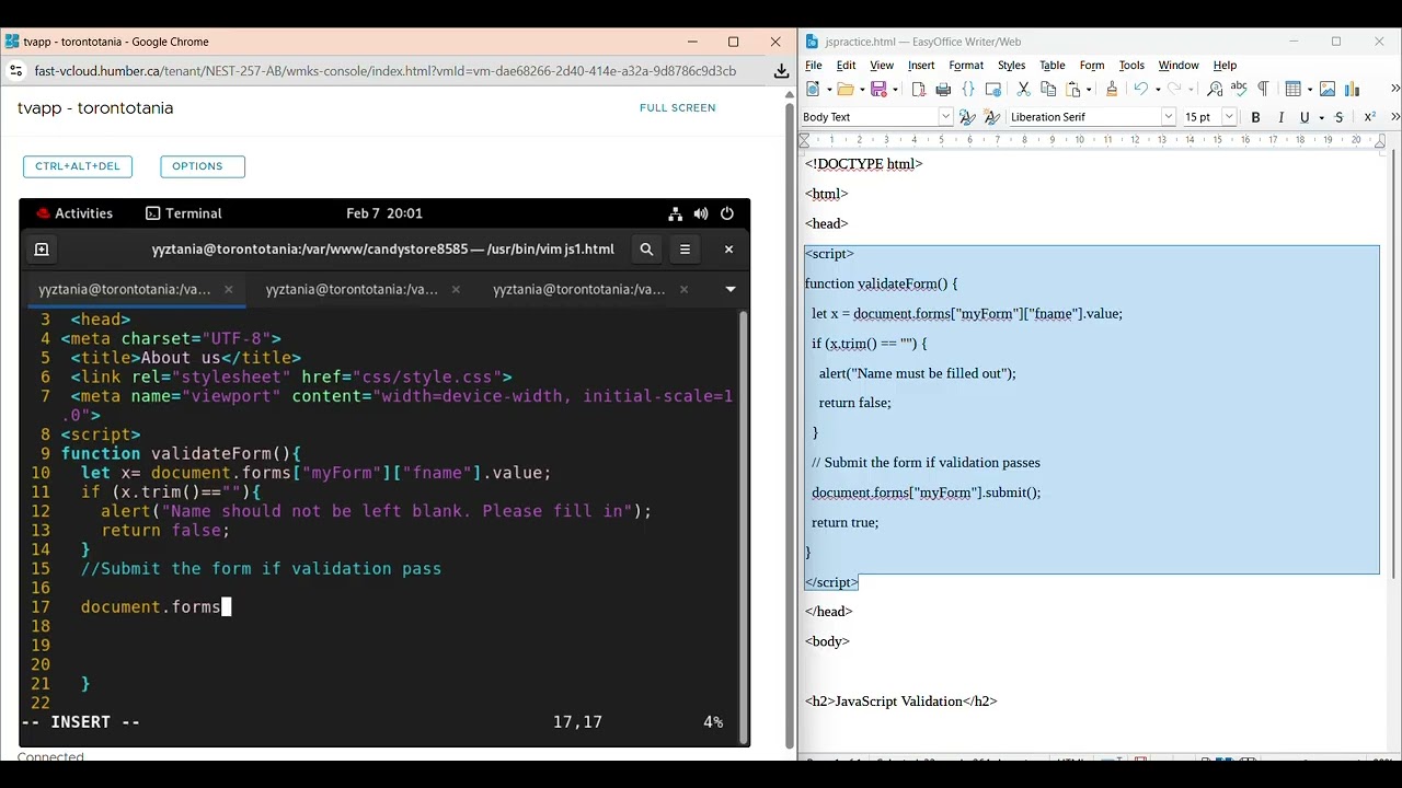 js from validation