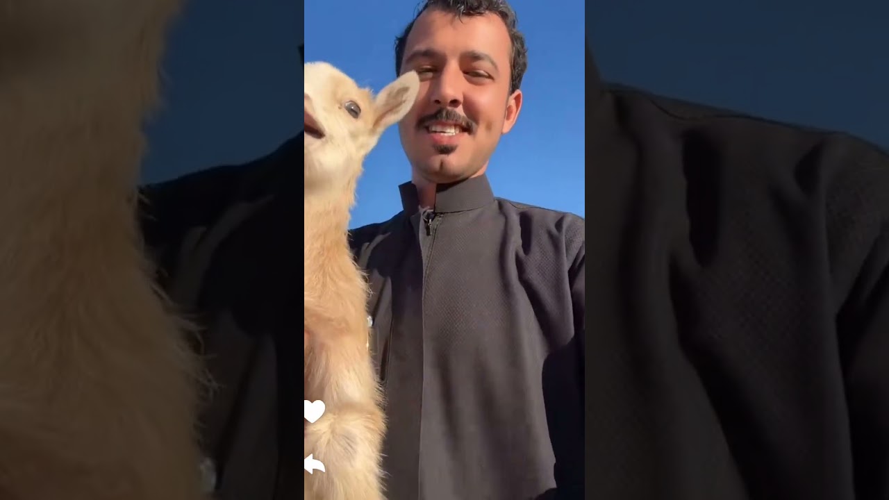 روشنا حفكر  ومشطنا شعره / سنابات ابو ناصر