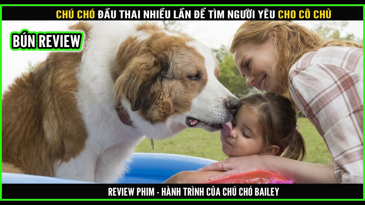 Chú chó đầu thai nhiều lần tìm người yêu cho cô chủ - BÚN REVIEW PHIM: HÀNH TRÌNH CỦA CHÚ CHÓ BAILEY