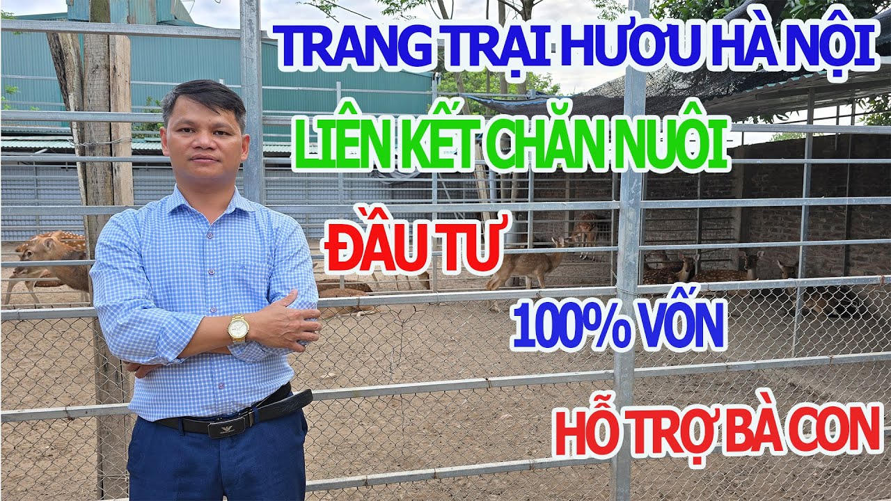Kế Hoạch Liên Kết Khu Vực Chăn Nuôi Hươu Nga Tại Hà Nội Hỗ Trợ Đầu Tư Cho Bà Con Chăn Nuôi