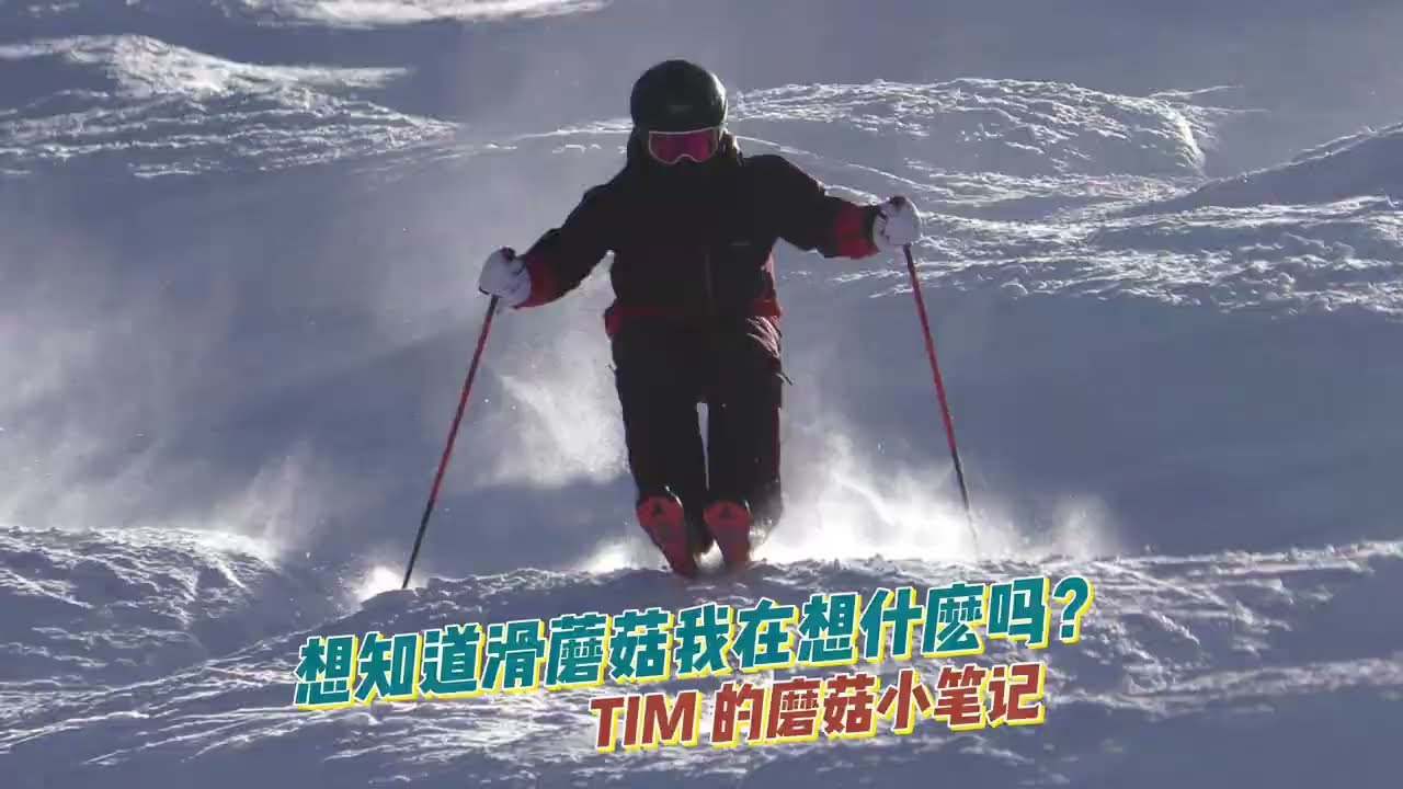 饅頭/蘑菇滑行筆記 | SkiWithTIM