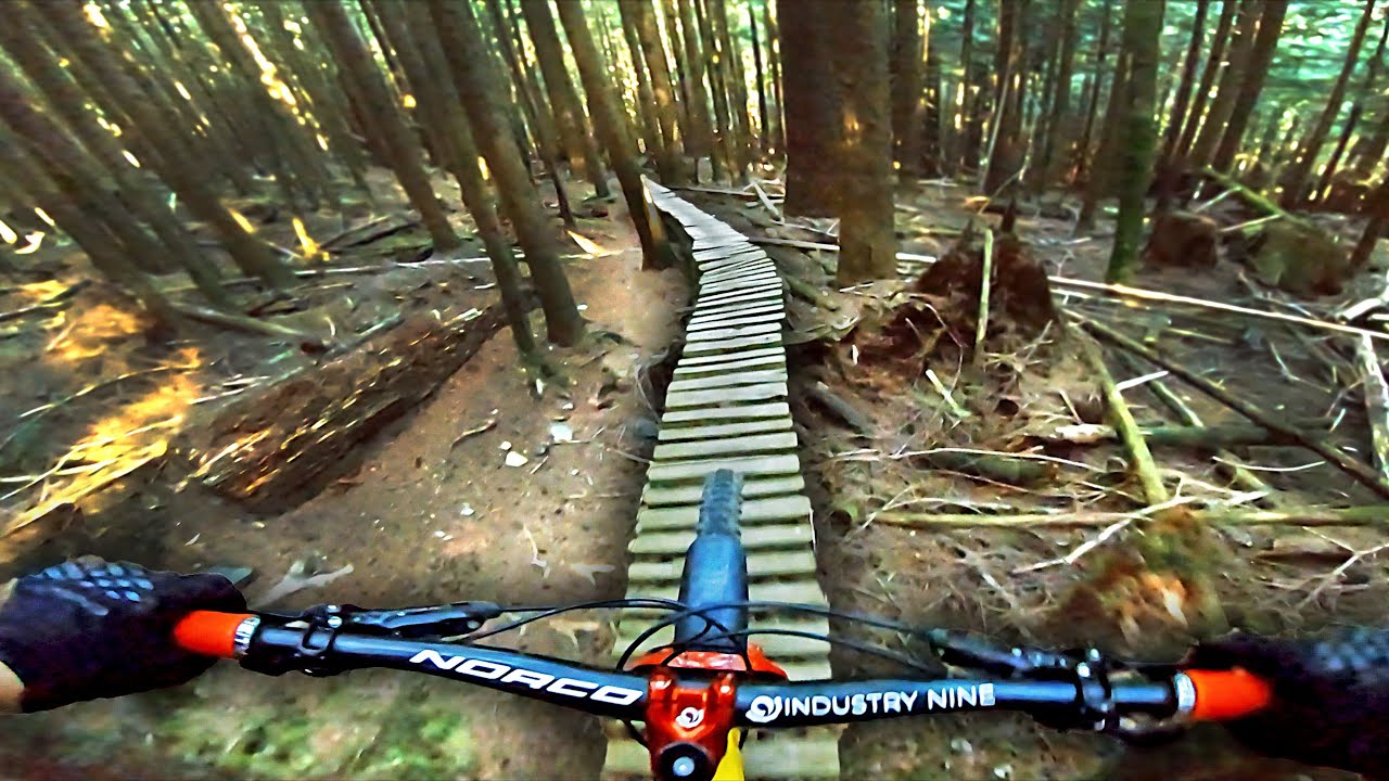 These Trails Have SO MUCH WOODWORK!
