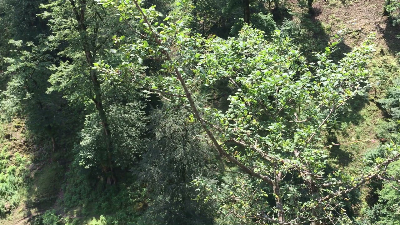 Talış dağları (Astara rayonu, Sım kəndi)