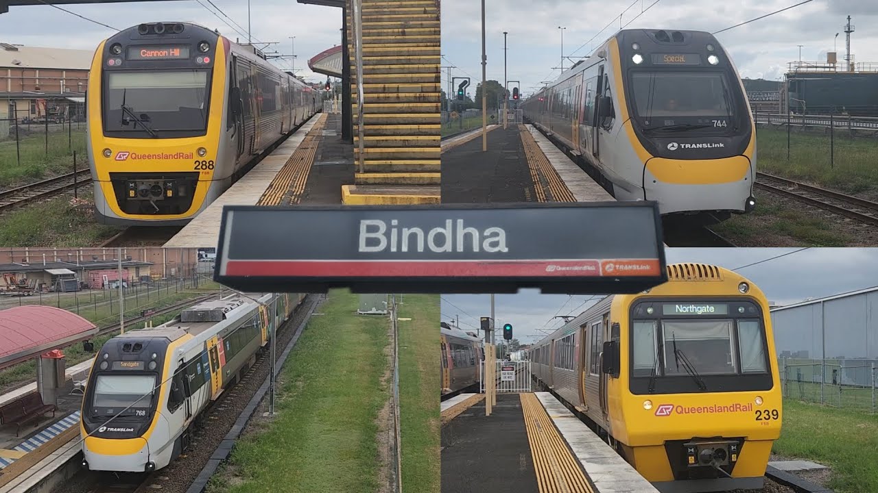 Trains at Bindha