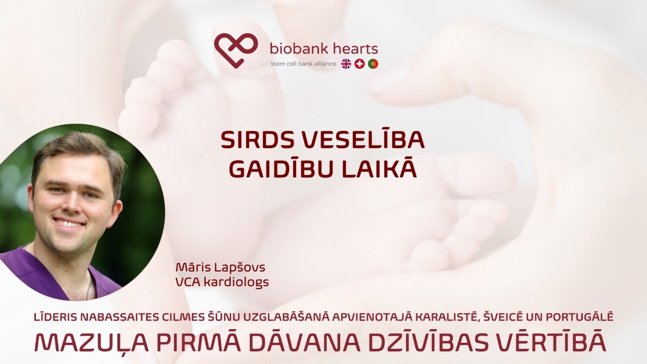 Sirds veselība gaidību laikā