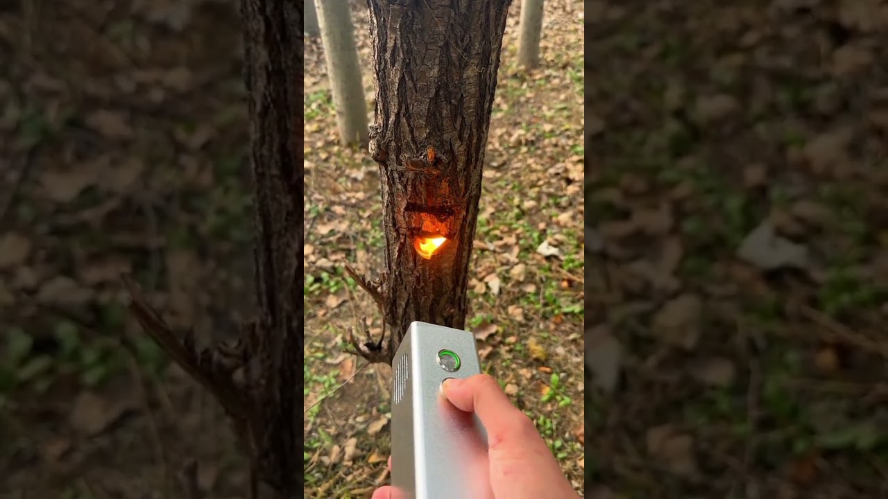 Laser portabel yang bisa membakar batangkayu#shortviral