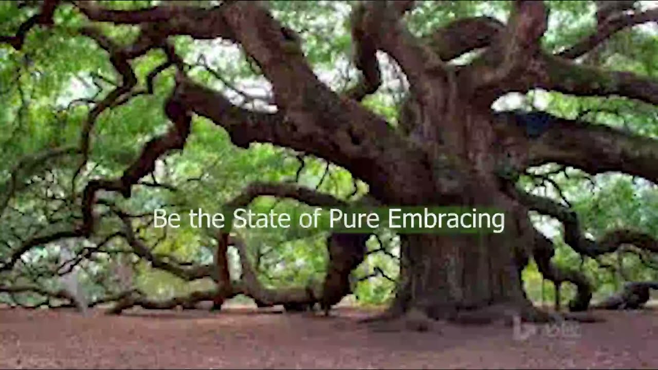 Be the Still Stately Tree
