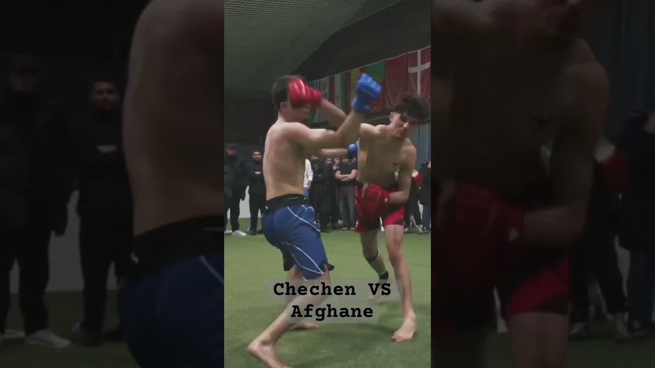 CHECHEN TIGER VS Afghanian LION      #mma #fight #chechen #afghanistan