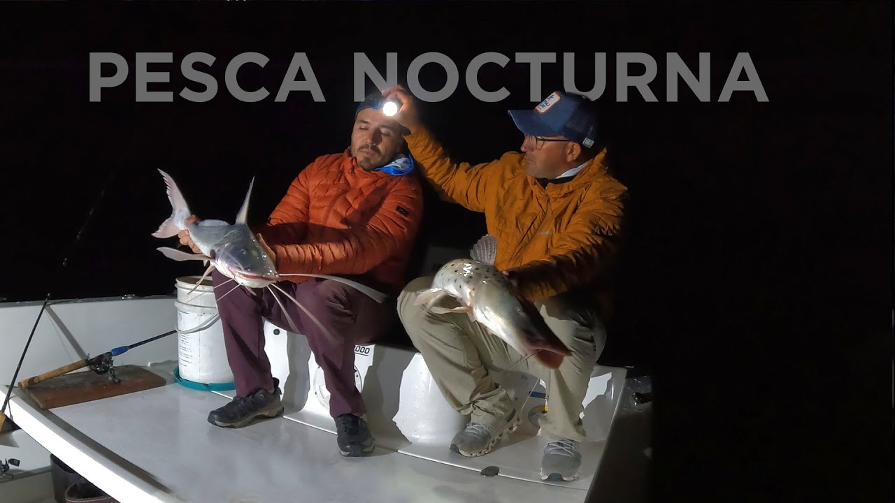 Pesca nocturna en búsqueda del Surubí