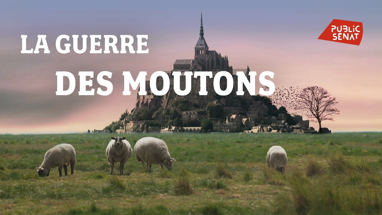 La guerre des moutons