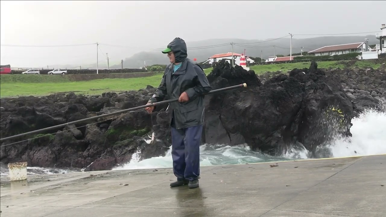 O ANTÓNIO CABAÇA NA PESCA 08 01 2025