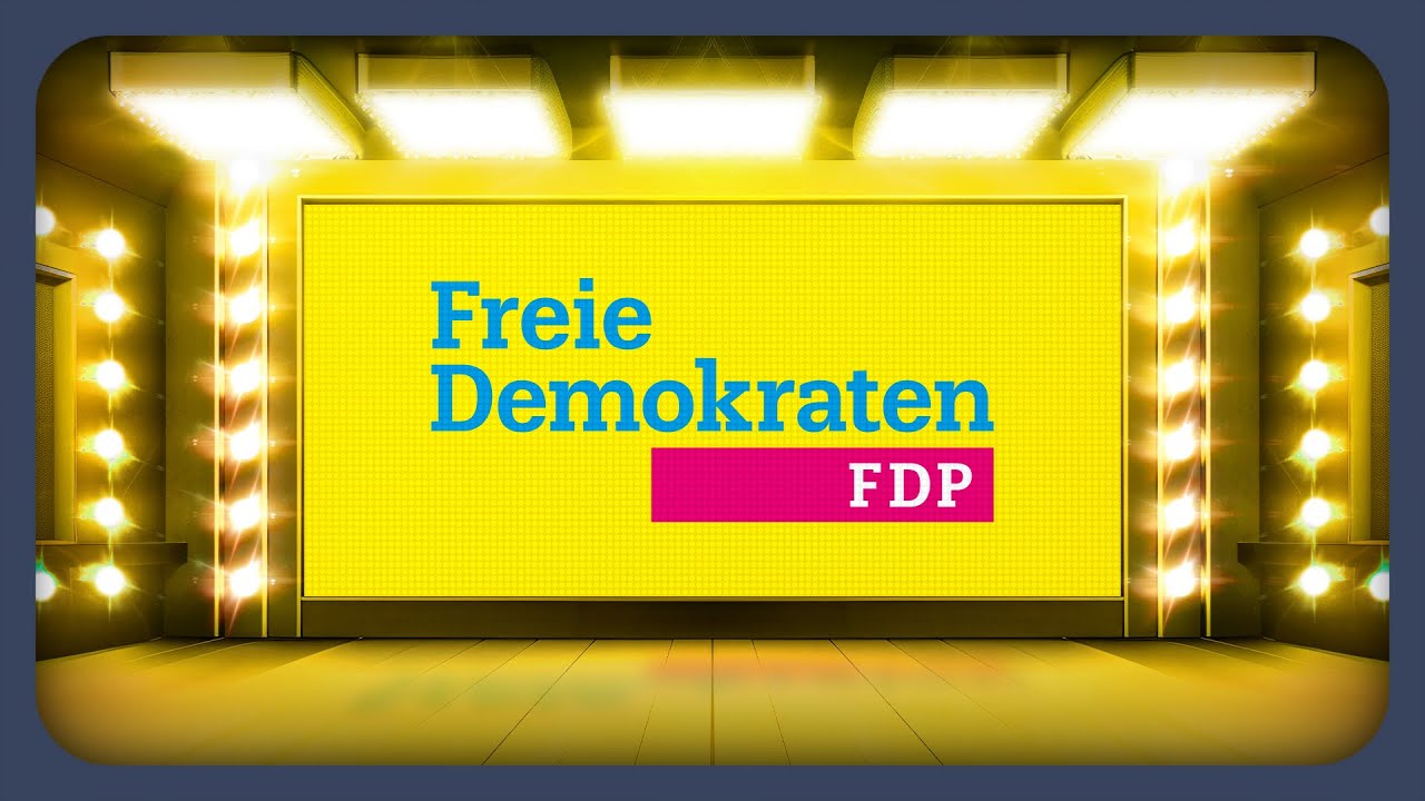 Das Wahlprogramm der FDP erkl&auml;rt | Bundestagswahl 2025
