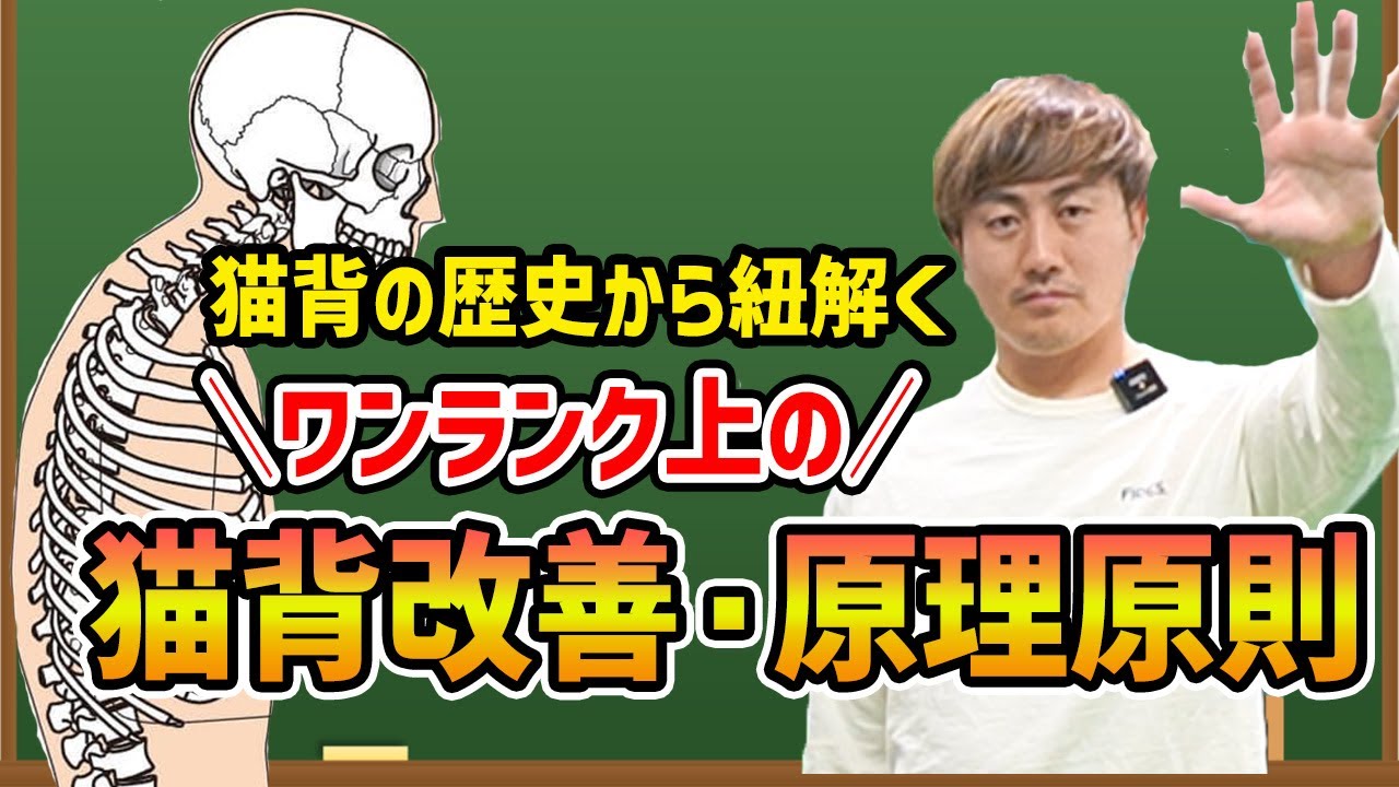 【猫背改善】根本改善の答えは猫背ができる歴史を紐解くことでわかる！猫背改善の原理原則