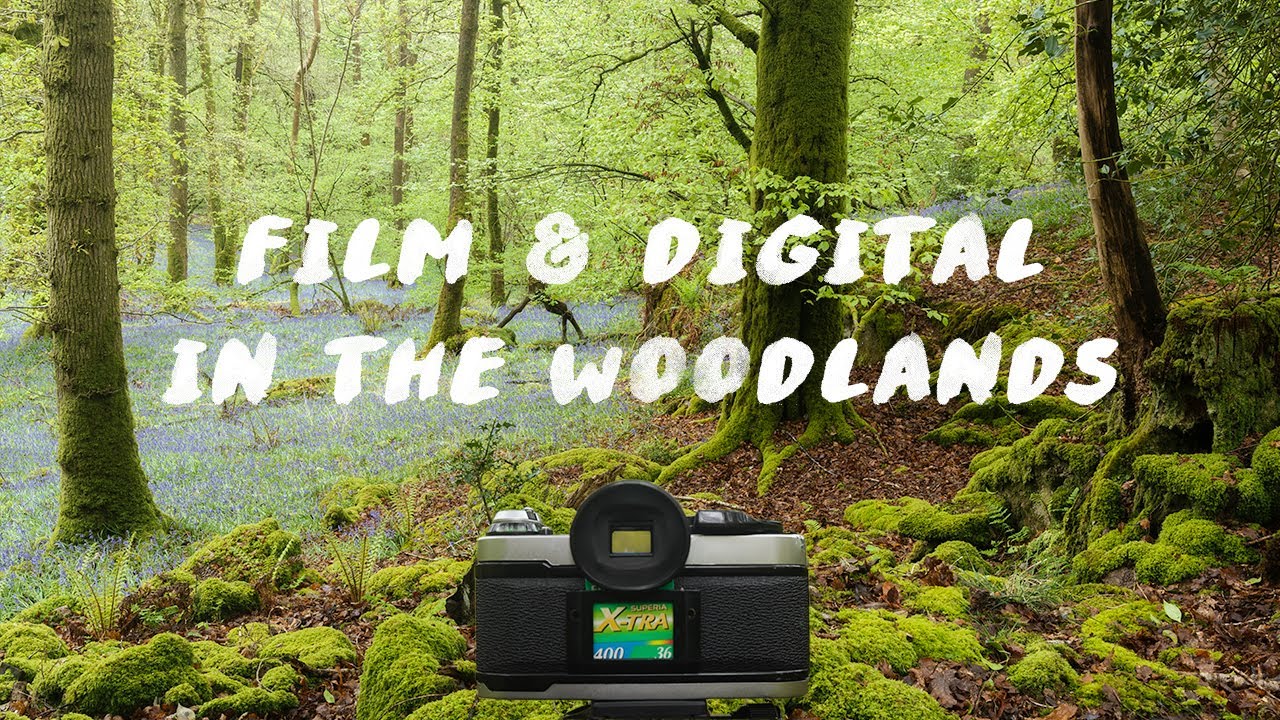 Film & Digital Landscape Photography In The WOODLANDS