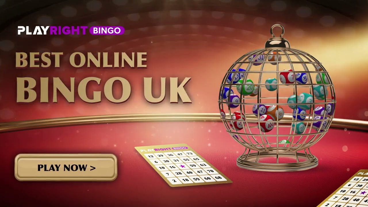 Compare The Best Bingo Sites