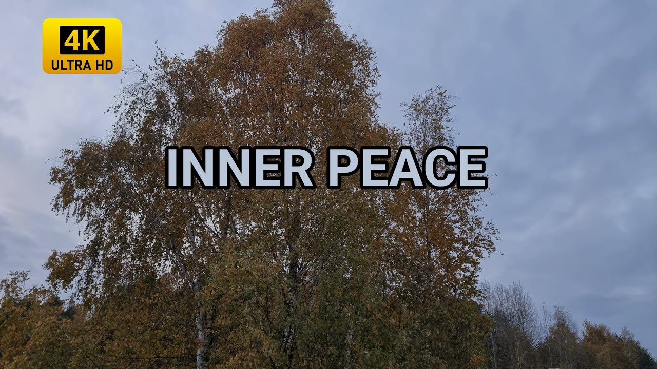 Meditation & Zen 🍂 Misty Autumn Woods & Soulful Piano 4K