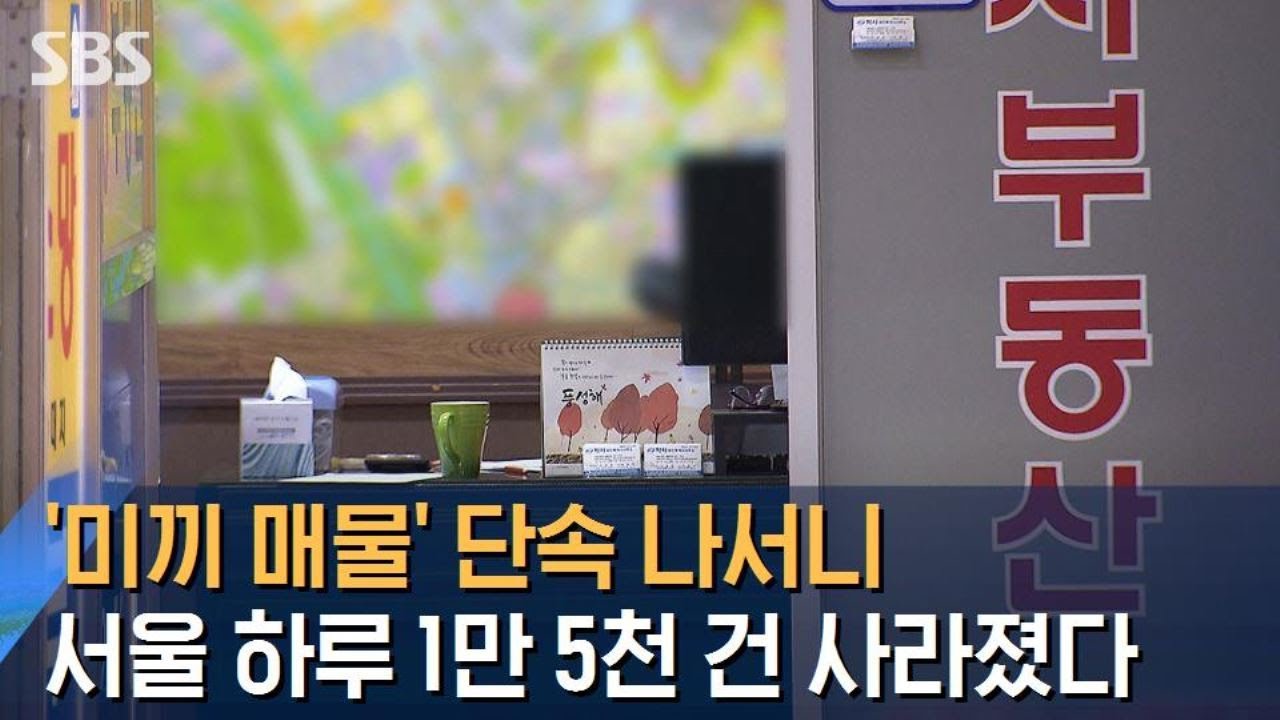 '미끼' 잡는다니까&hellip;서울서만 1만 5천 건 매물 사라져 / SBS