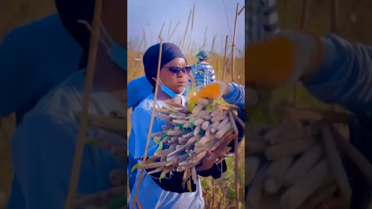 XELCOM 2025 Fondation And Dieufeul Serigne Saliou