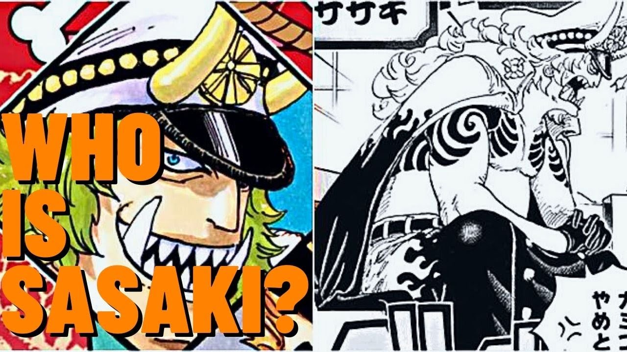 Explaining Sasaki | One of the Tobiroppo | One Piece Character