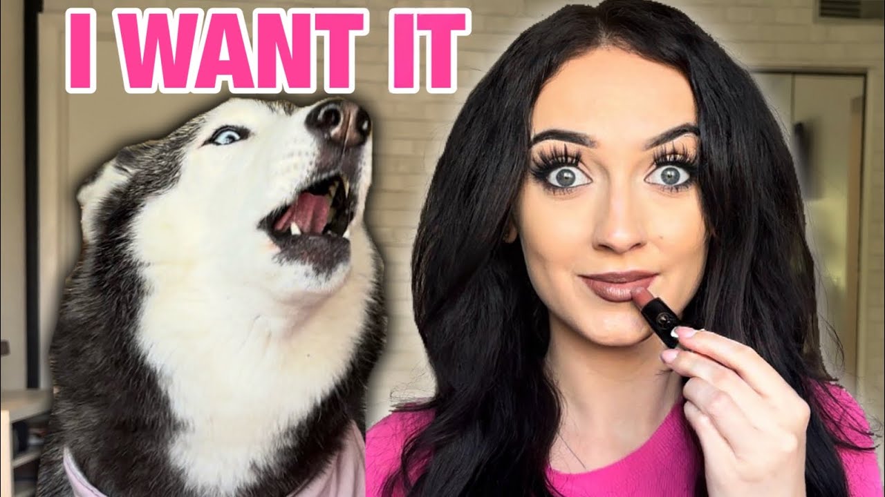 My Husky DEMANDS Her Own MakeUp! (SHE ARGUES) 👀💄