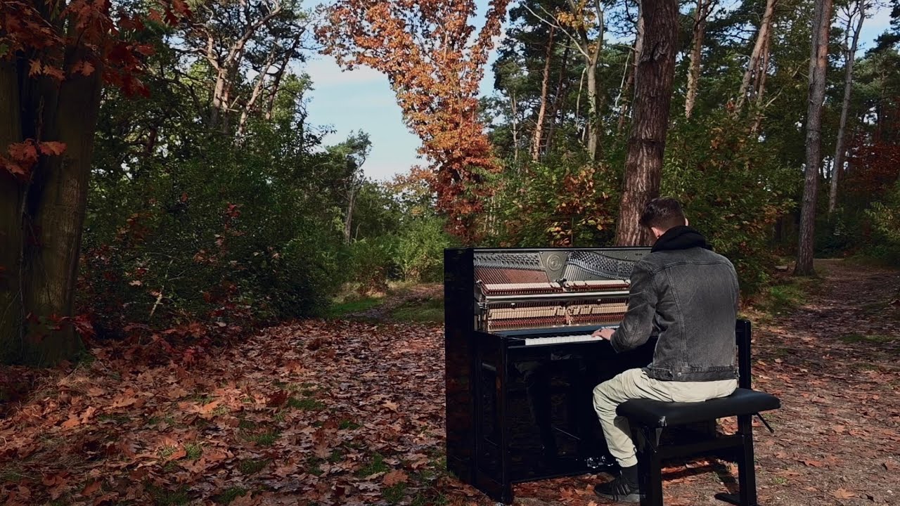 Autumn Falls - James Malikey (oficjalny teledysk)