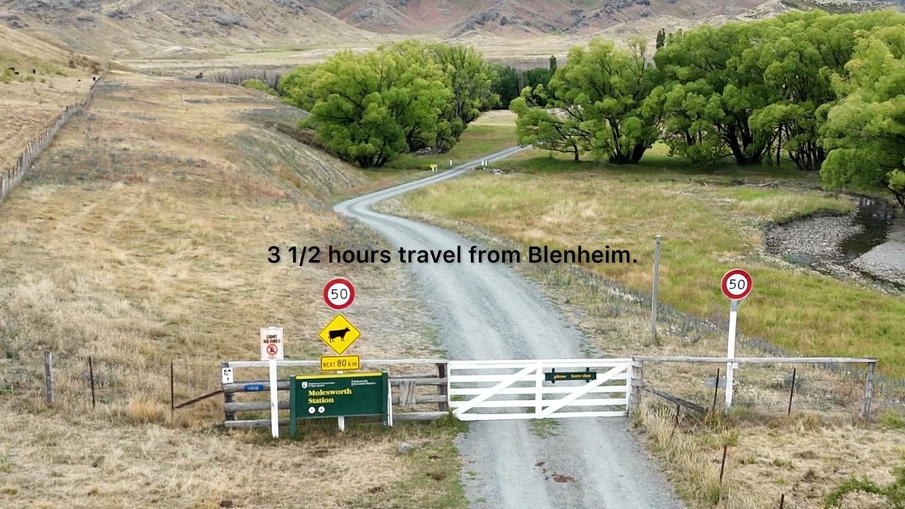 Taking our caravan through the Molesworth.