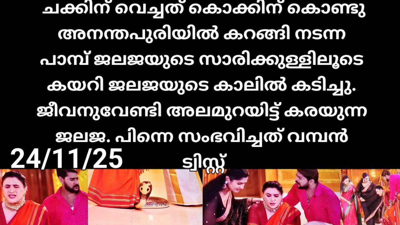 Patharamattu#24/11/25 | ജലജയുടെ സാരിക്കുള്ളിൽ ചെന്ന് കയറി ജലജയെ പാമ്പ് കൊത്തി