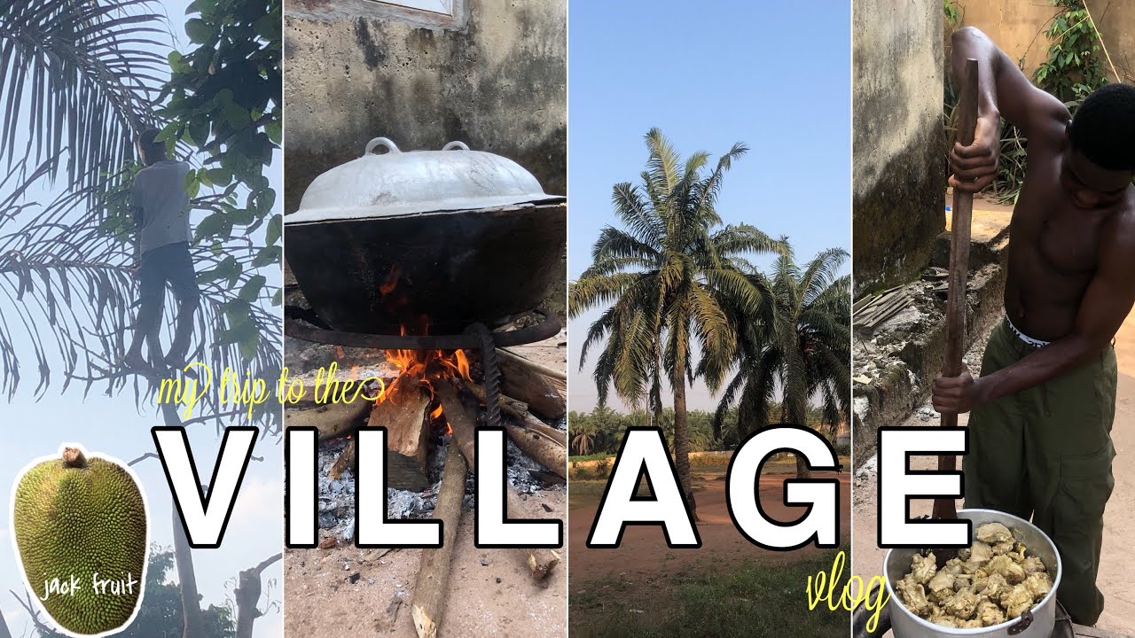 My Parents Dragged Me to the Village for the Holidays | An Igbo Christmas 