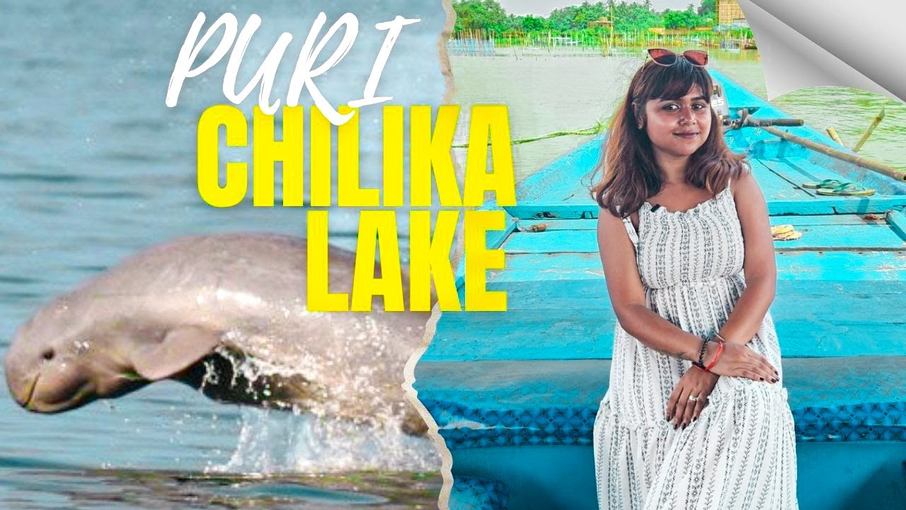 EP3 Chilika Lake Boating Guide | Puri Chilika OTDC Package Tour | Chilika Lake Odisha Vlog