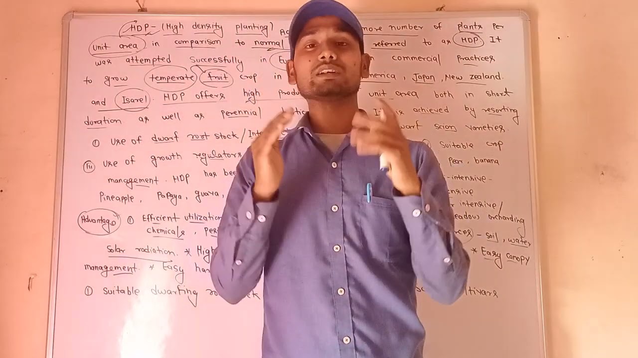 High Density Planting (HDP) full explanation by p.k. singh