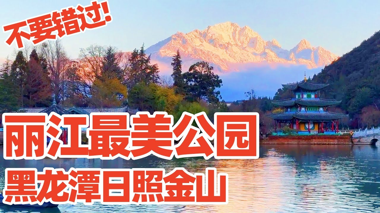 【回国旅居丽江】市里最美的黑龙潭公园, 无需出城也能看到震撼的日照金山, 千万别错过! 黑龙潭竟藏着丽江古城水源地! 丽江黑龙潭公园! 丽江! 丽江旅游 lijiang heilongtan park