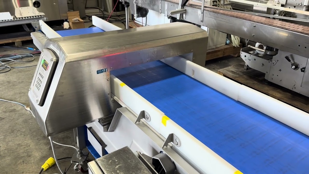 BID ON EQUIPMENT: Item 421868 &ndash; CEIA THS/MS21 Metal Detector with Flat Belt Transfer Conveyor