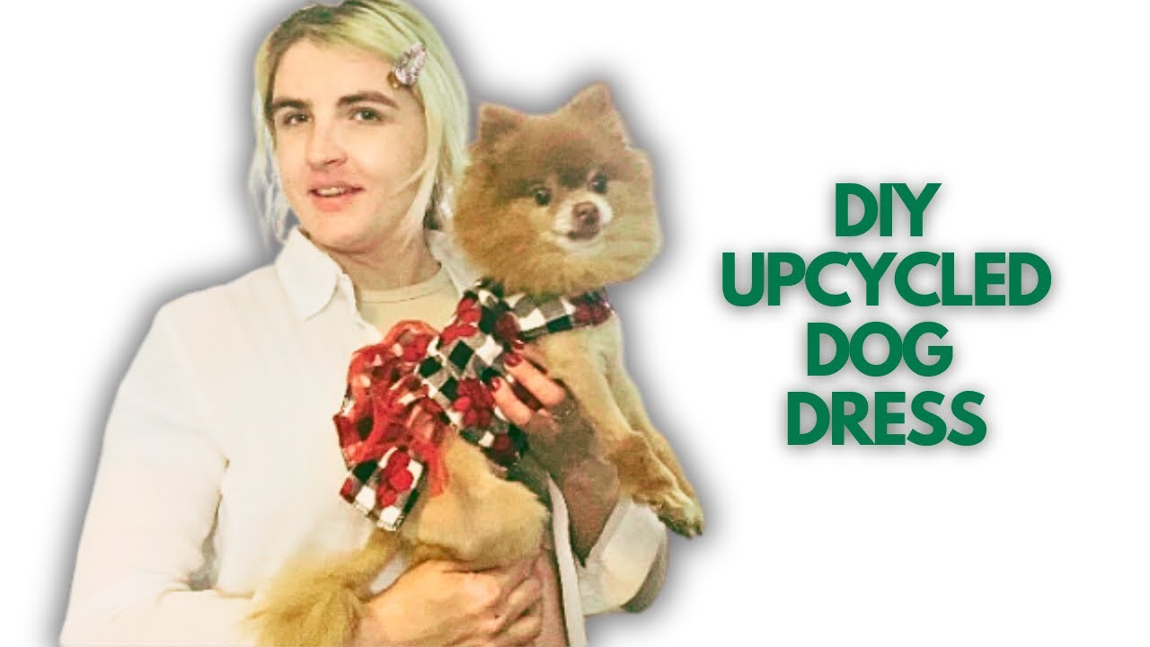 DIY Upcycled Dog Dress Tutorial | Make an Outfit for Your Pet!