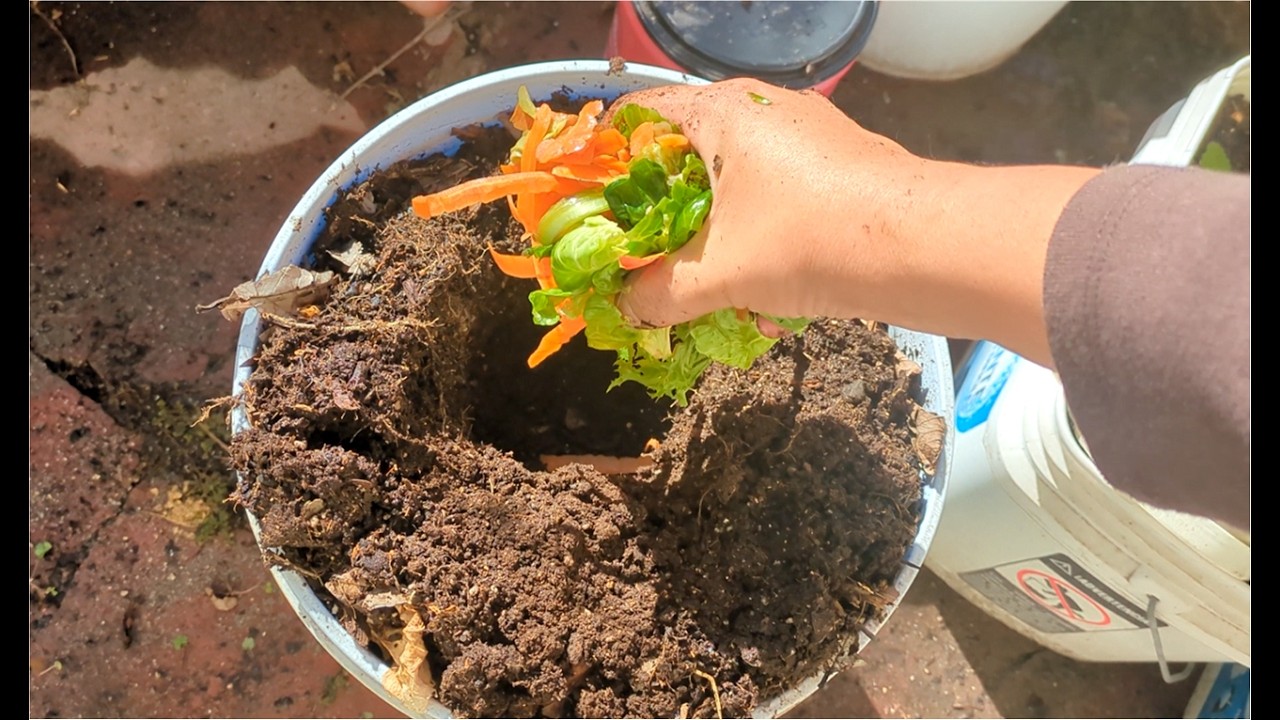 Haz COMPOSTA o HUMUS de lombriz directamente en la tierra
